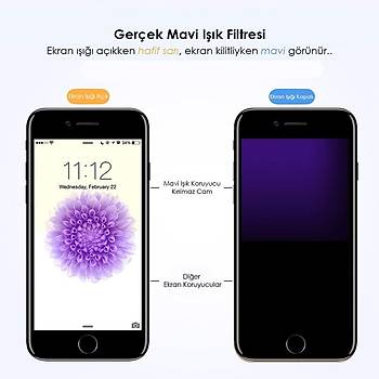 AntDesign Anti BlueLight iPhone 6/7/8 Plus Mat Cam Ekran Koruyucu