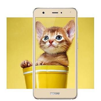 Lito 3D Full Cover Galaxy S7 Edge Cam Ekran Koruyucu Ön / Gold