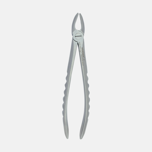 KRUGER Yetişkin Üst Premolar (Küçük Azı) Davye
