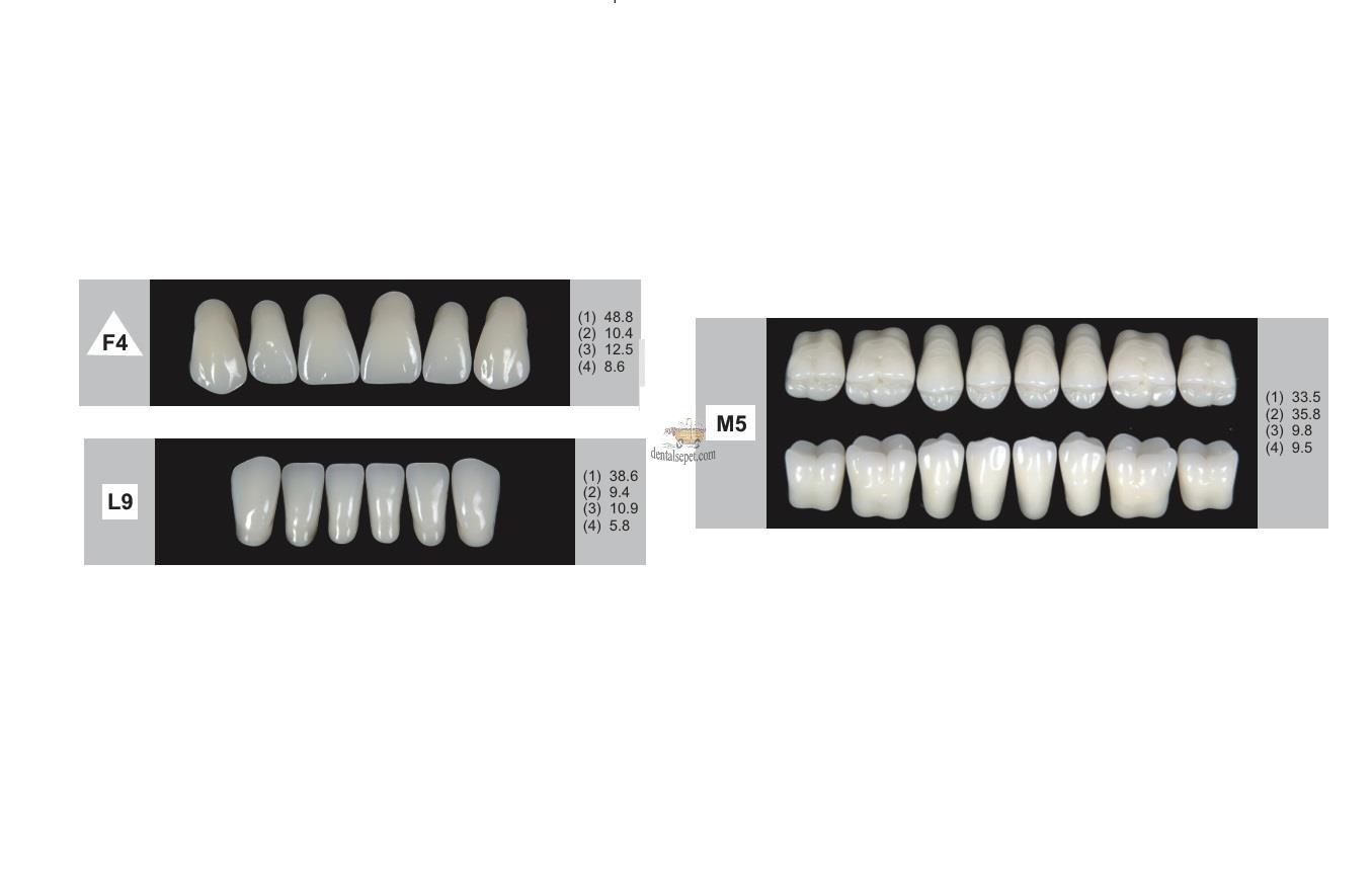 DENTURE Akrilik Diş 28 Lik Takım - F4-L9-M5  (Renk Seçiniz)