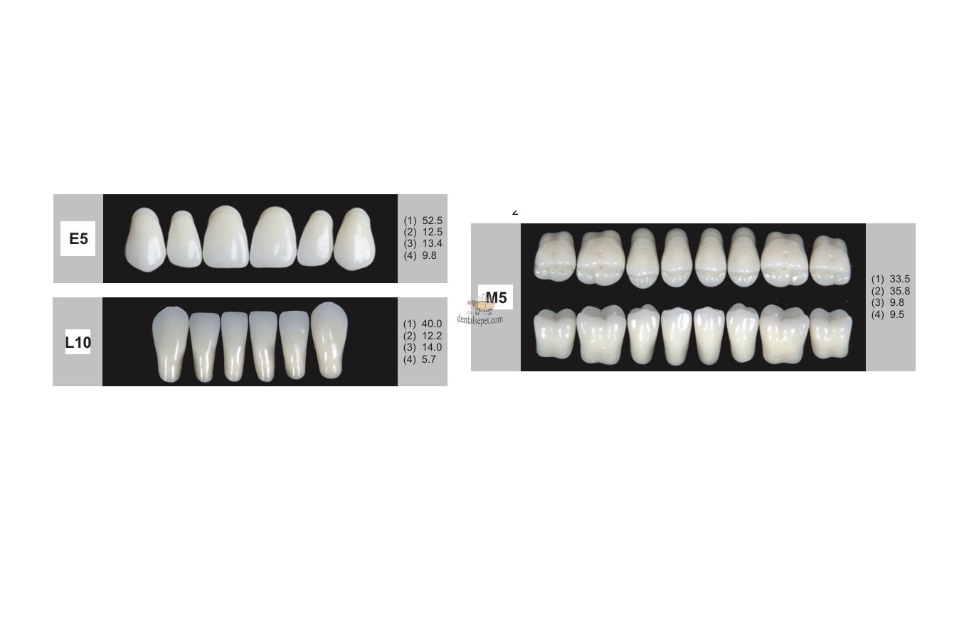 DENTURE Akrilik Diş 28 Lik Takım - E5-L10-M5  (Renk Seçiniz)