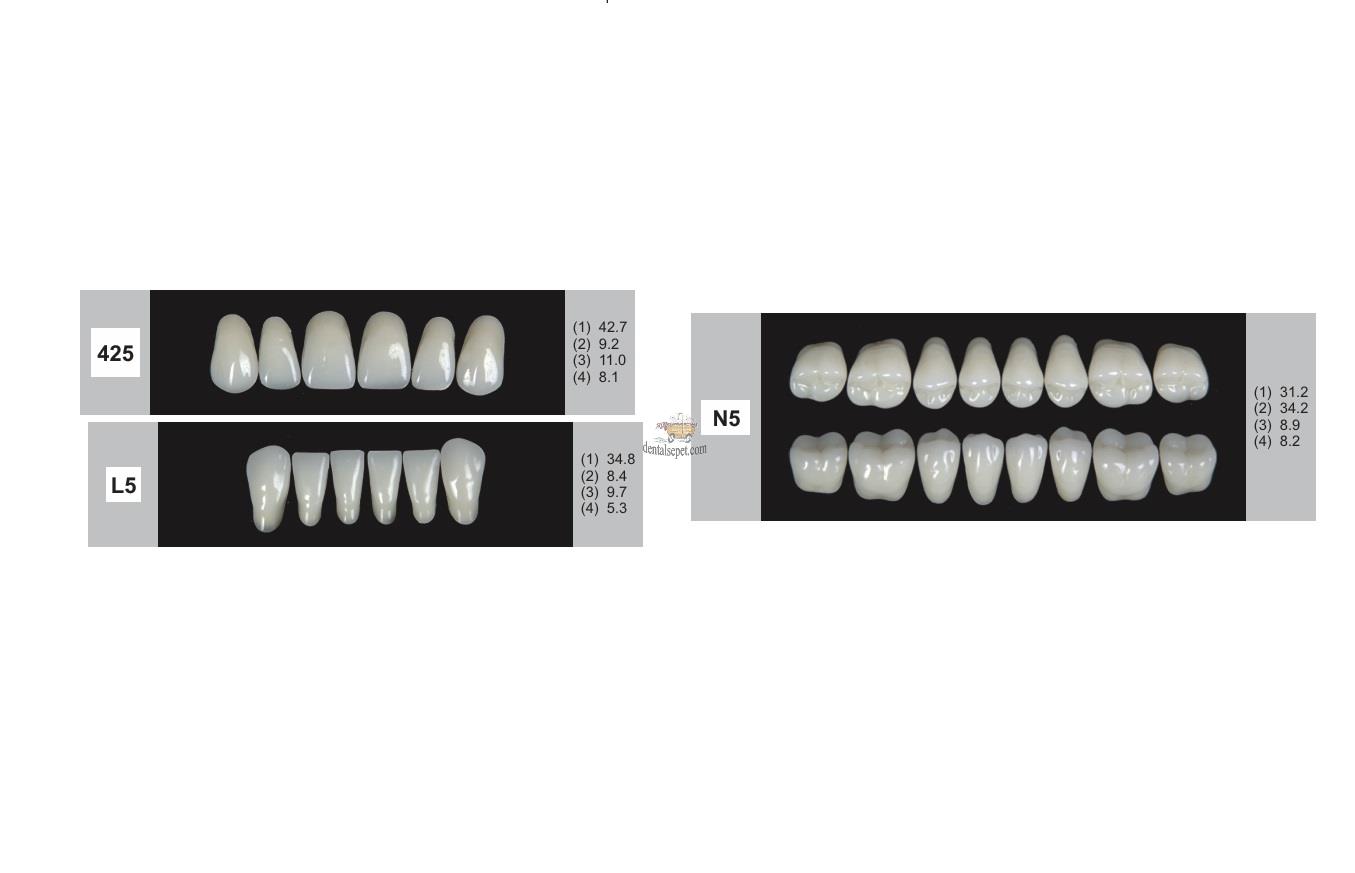 DENTURE Akrilik Diş 28 Lik Takım - 425-L5-N5  (Renk Seçiniz)