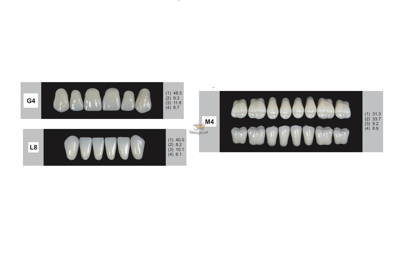 DENTURE Akrilik Diş 28 Lik Takım - G4-L8-M4  (Renk Seçiniz)