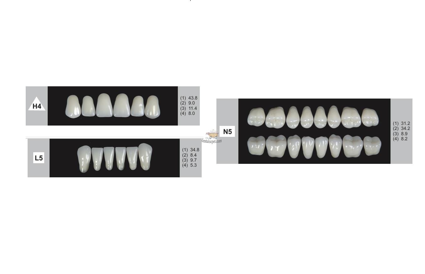 DENTURE Akrilik Diş 28 Lik Takım - H4-L5-N5  (Renk Seçiniz)