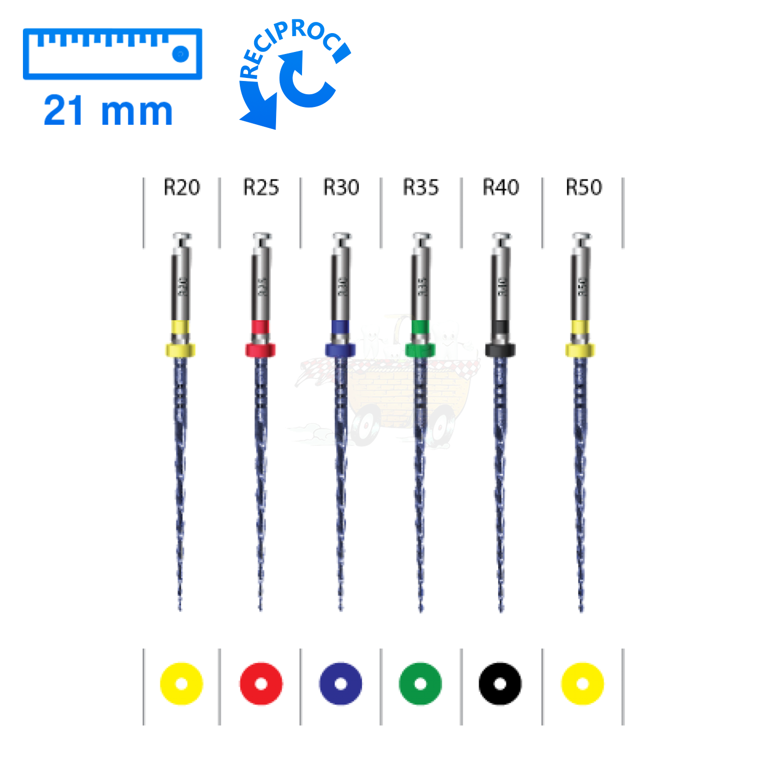 ENDOART Expert Blue Reciproc (R20 - R50) NiTi Kanal Eğesi Sistemi (21mm) 6 Adet