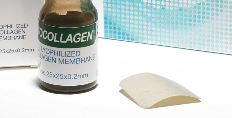 BIOTECK Collagen Membran 25 mm * 25 mm * 0,2 mm