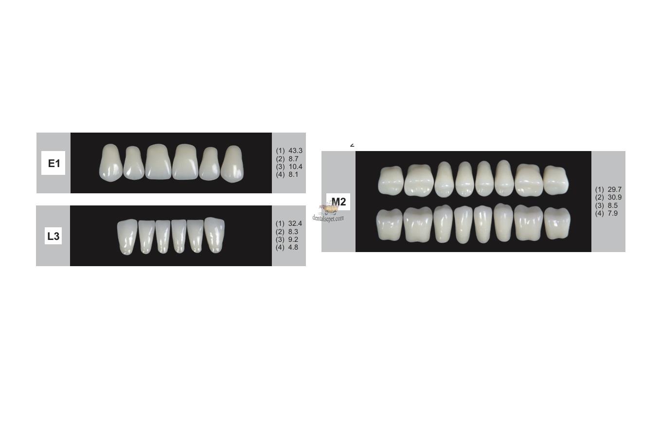 DENTURE Akrilik Diş 28 Lik Takım - E3-L6-M4  (Renk Seçiniz)