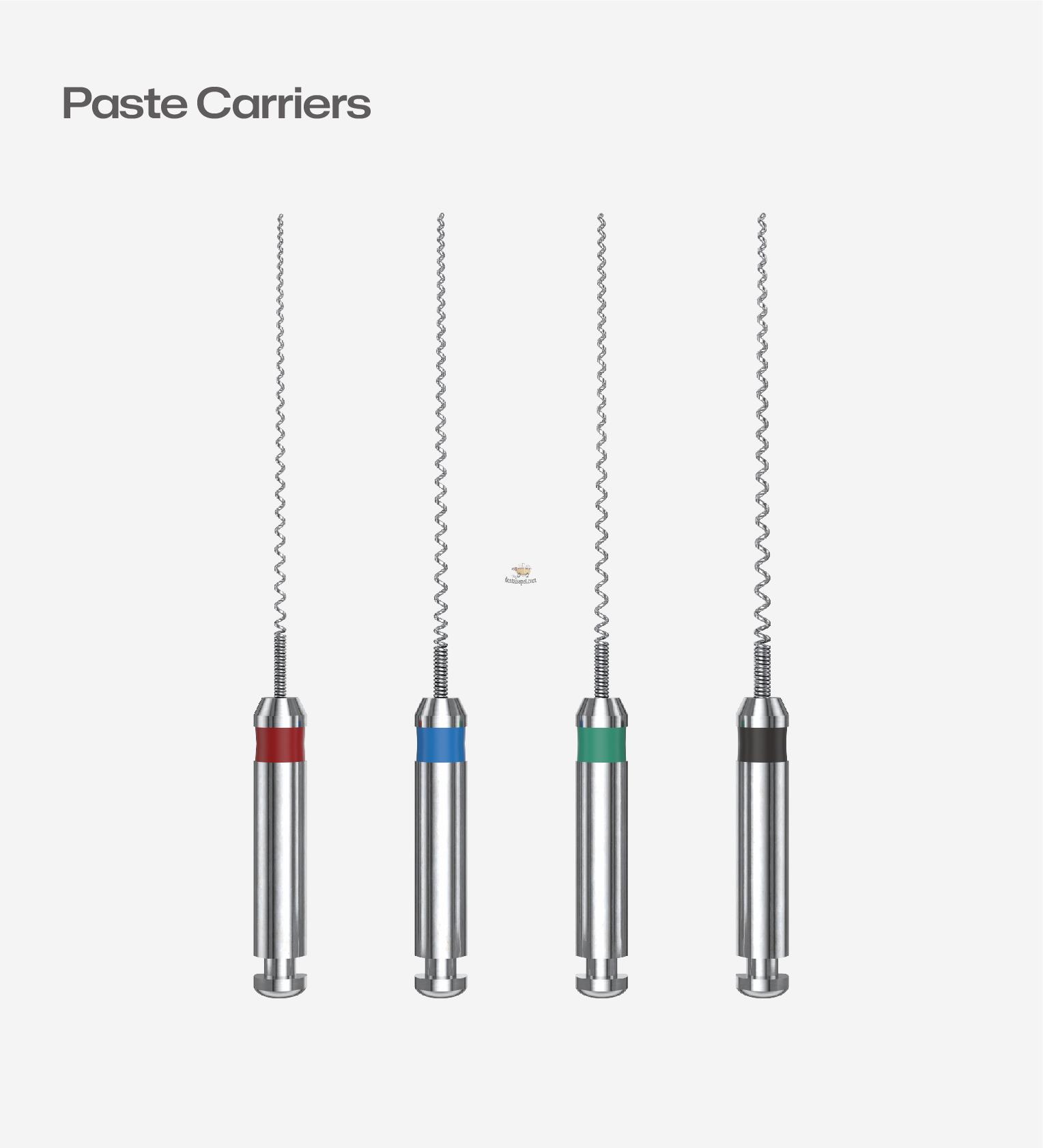 PERFECT DENTAL Paste Carriers Kanal Eğesi Çelik - #25 - 25 mm