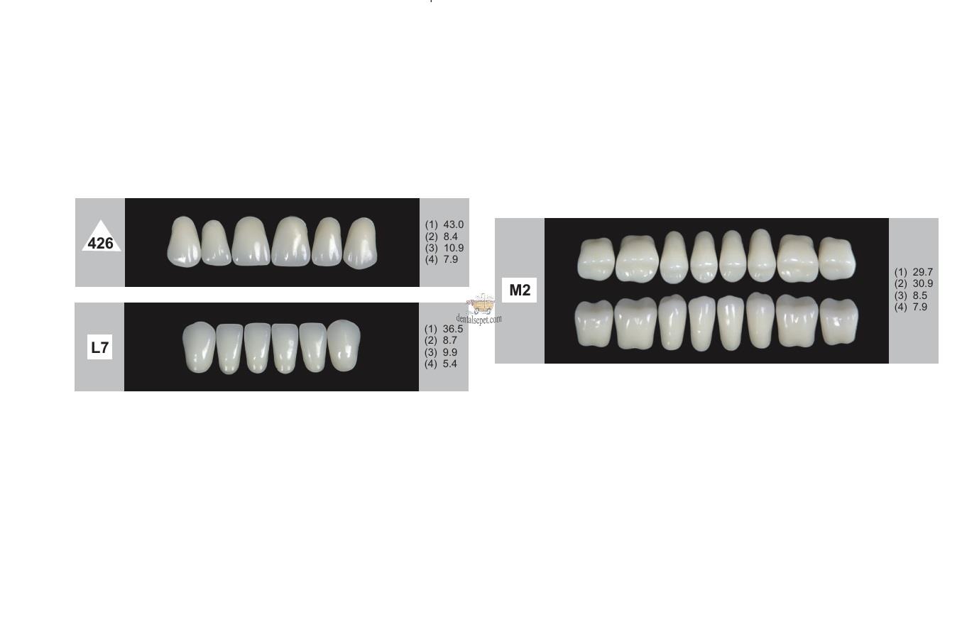 DENTURE Akrilik Diş 28 Lik Takım - 426-L7-M2  (Renk Seçiniz)