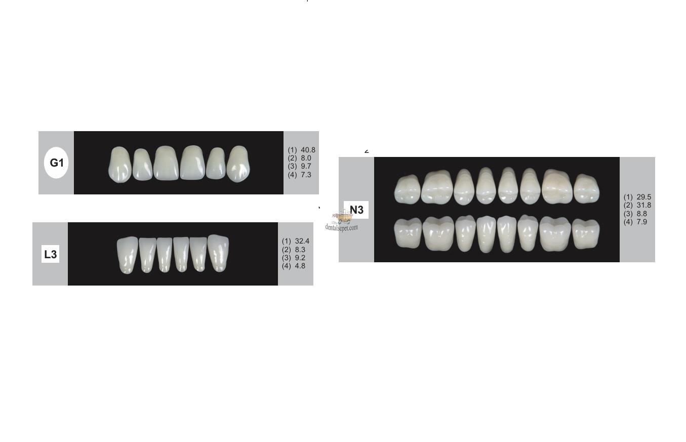 DENTURE Akrilik Diş 28 Lik Takım - G1-L3-N3  (Renk Seçiniz)
