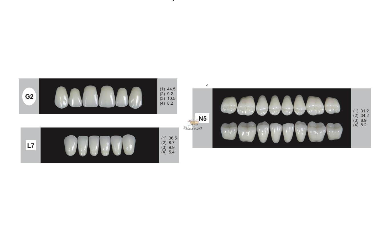 DENTURE Akrilik Diş 28 Lik Takım - G2-L7-N5  (Renk Seçiniz)
