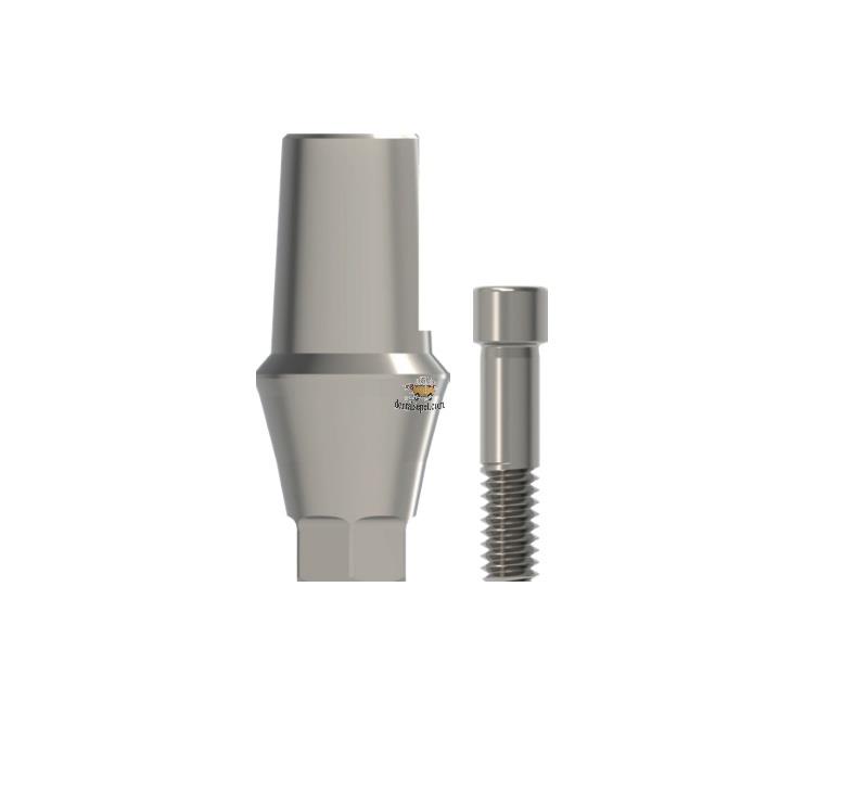 DOME - Straight / Abutment