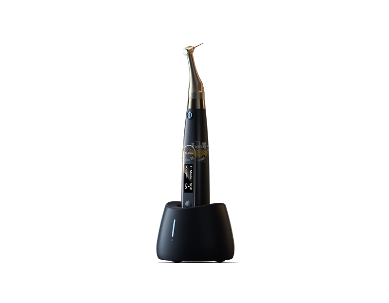 WOODPECKER Ai Motor Black Yoshi Terauchi Edition - Siyah Ai Motor