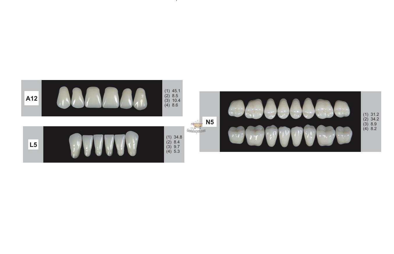 DENTURE Akrilik Diş 28 Lik Takım - A12-L5-N5  (Renk Seçiniz)