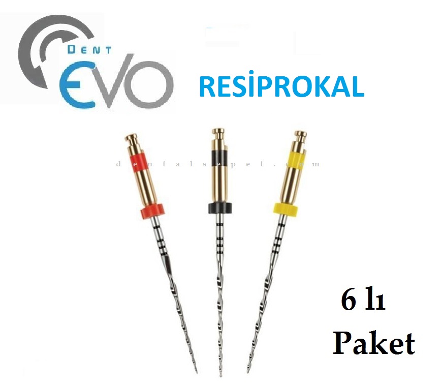 Dent Evo M3 Rotary Kanal Eğesi - SX F3- 6 Adet