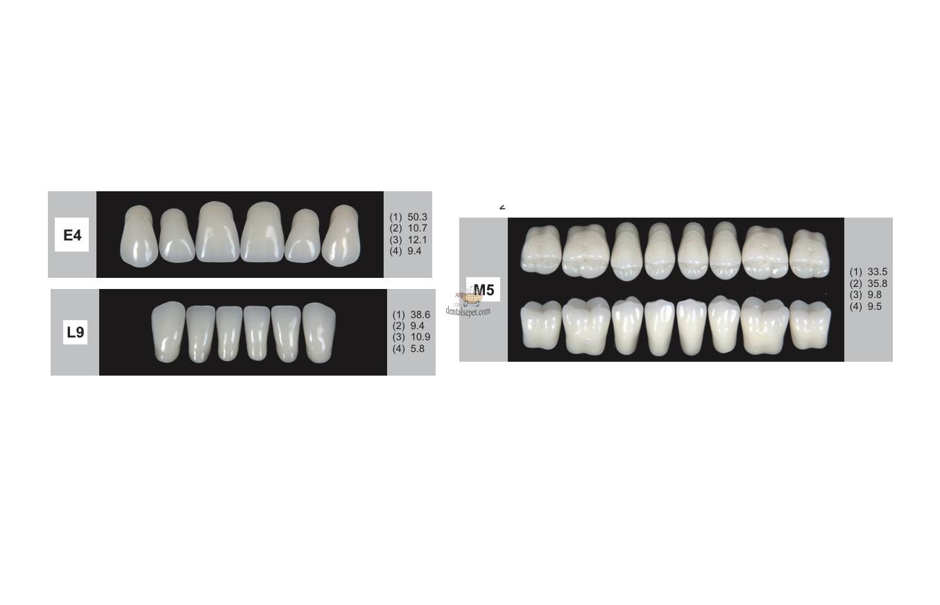 DENTURE Akrilik Diş 28 Lik Takım - E4-L9-M5  (Renk Seçiniz)