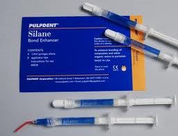 PULPDENT Silan Bond Desteği 4x1,2 ml