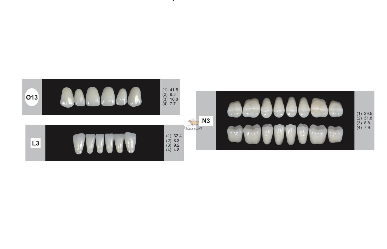 DENTURE Akrilik Diş 28 Lik Takım - O13-L3-N3  (Renk Seçiniz)