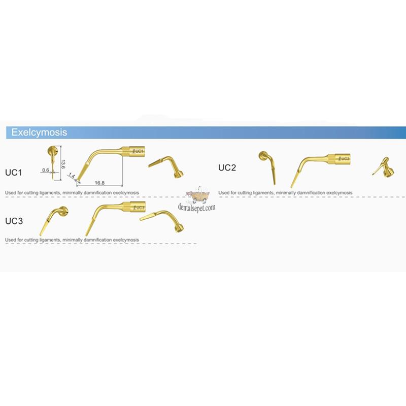 WOODPECKER / Mectron / Ems Ultrasurgery Exelcymosis Uçları