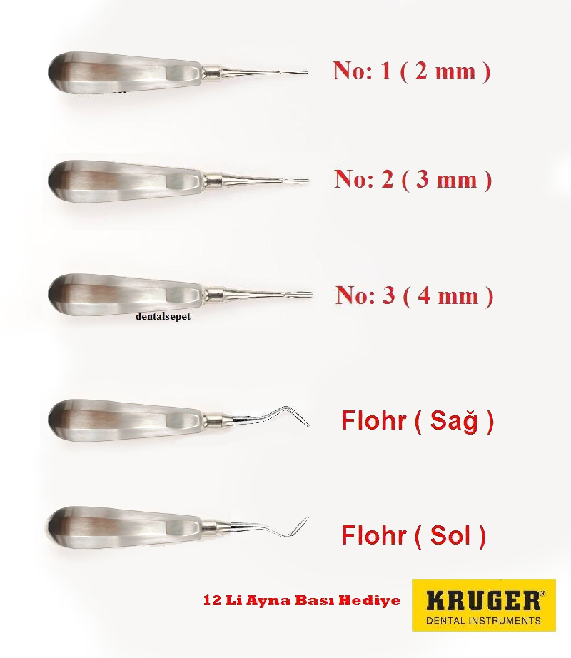 KRUGER 5 Li Elevatör Seti ( 3 Adet Bein + 2 Flohr )