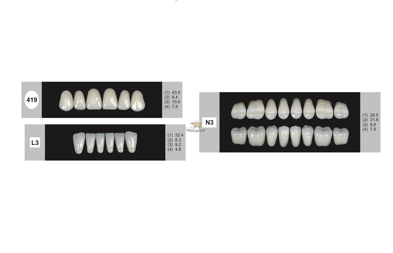 DENTURE Akrilik Diş 28 Lik Takım - 419-L3-N3  (Renk Seçiniz)