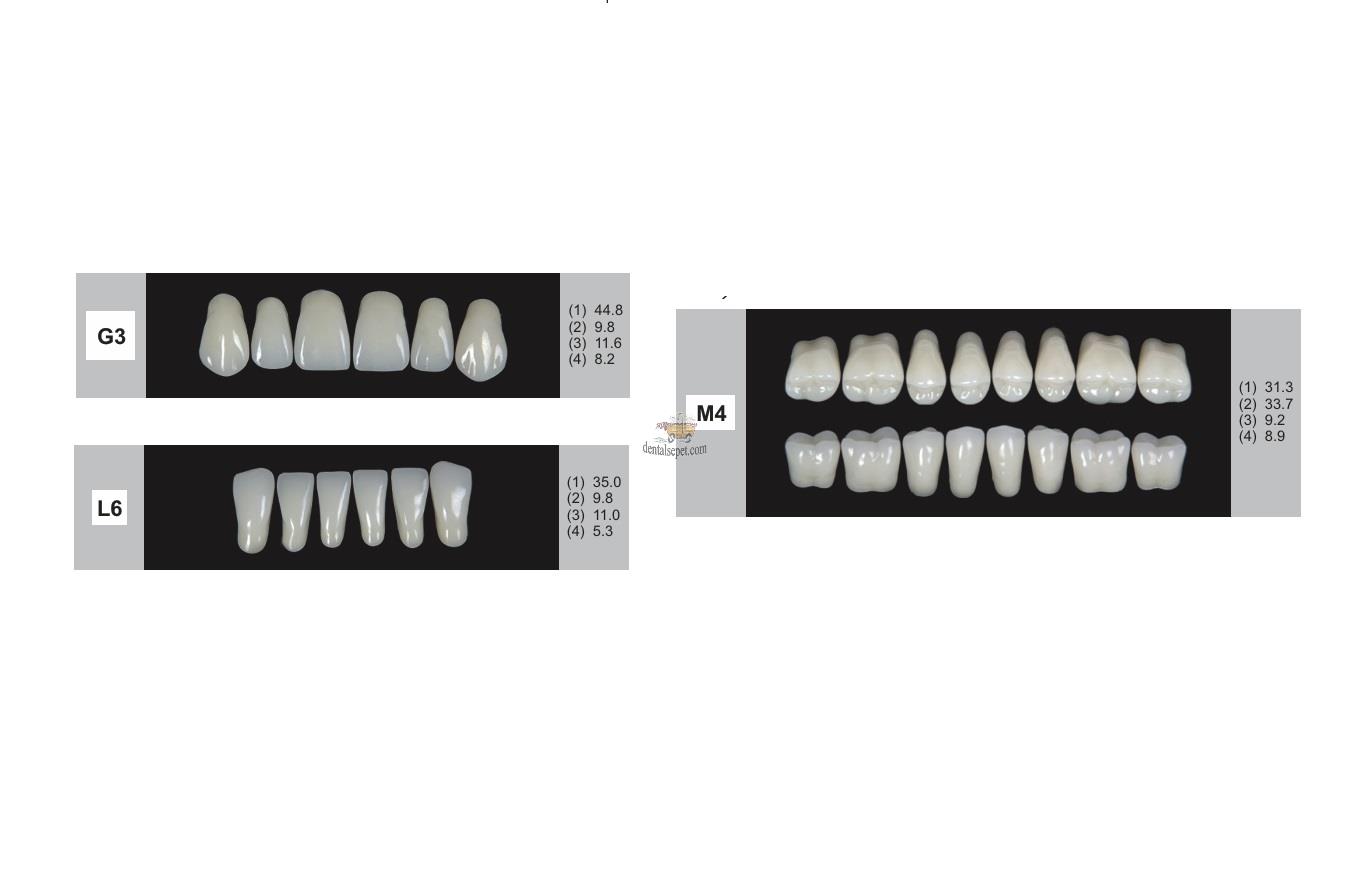 DENTURE Akrilik Diş 28 Lik Takım - G3-L6-M4  (Renk Seçiniz)