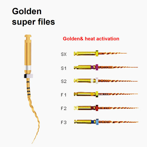 ROGIN Dental Sup Taper Gold Nikel Titanyum Kanal Eğesi Asorti (Sx-S1-S2-F1-F2-F3)