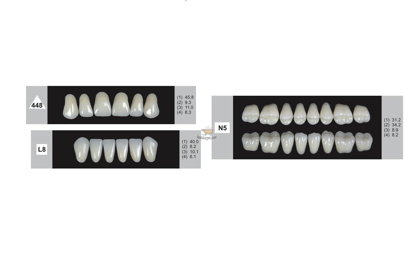 DENTURE Akrilik Diş 28 Lik Takım - 448-L8-N5  (Renk Seçiniz)