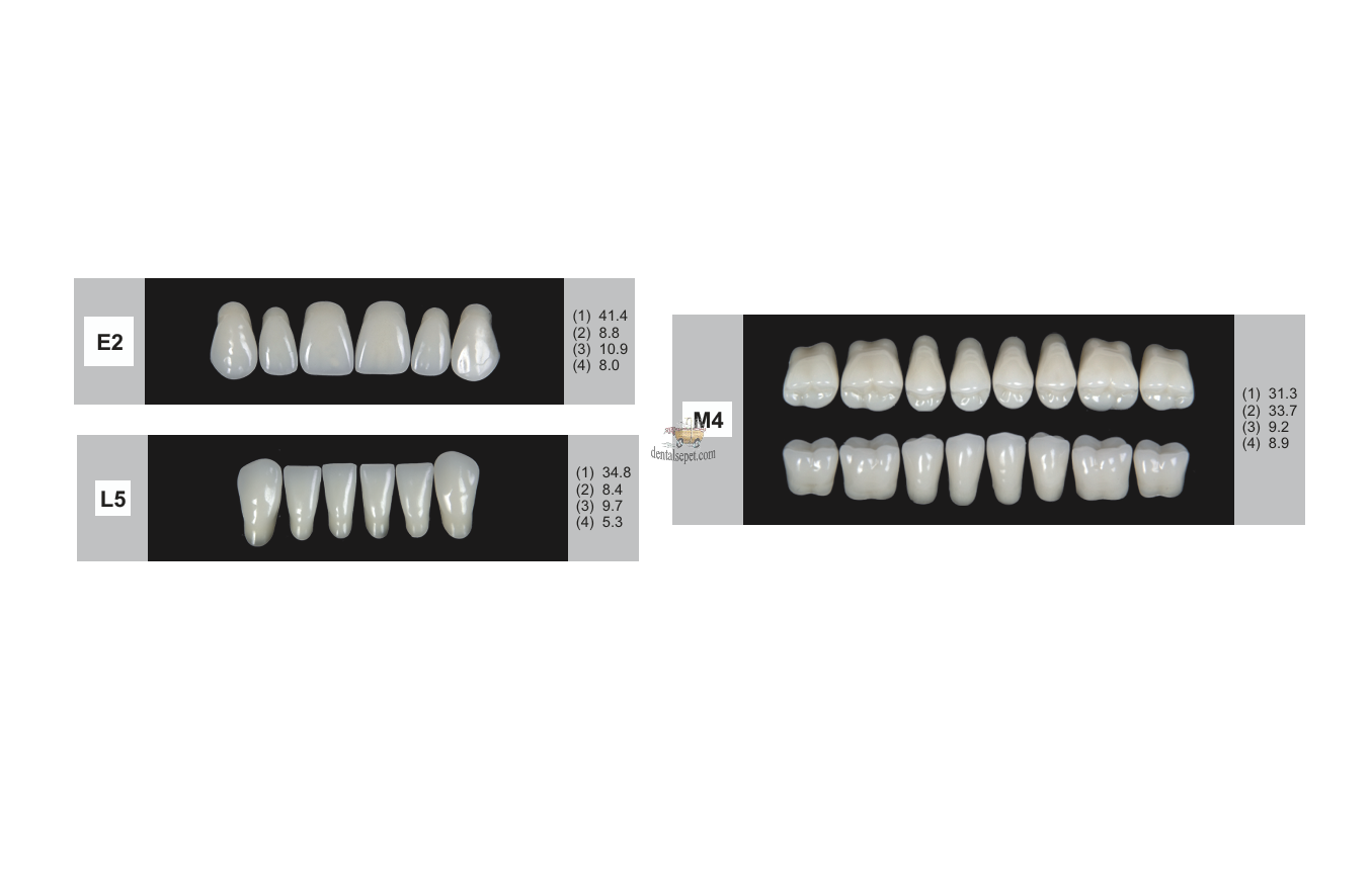 DENTURE Akrilik Diş 28 Lik Takım - E2-L5-M4  (Renk Seçiniz)