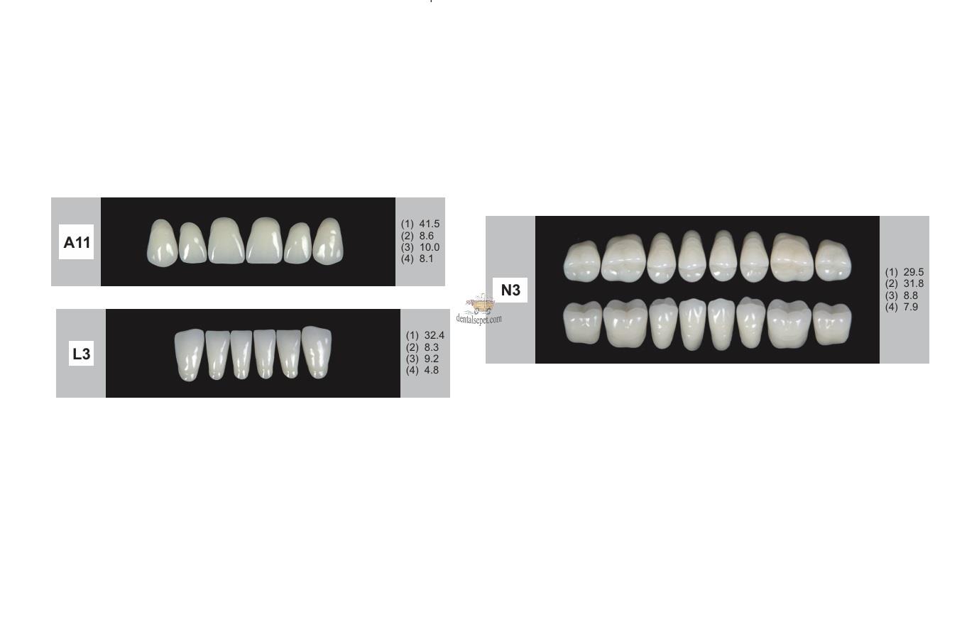 DENTURE Akrilik Diş 28 Lik Takım - A11-L3-N3  (Renk Seçiniz)