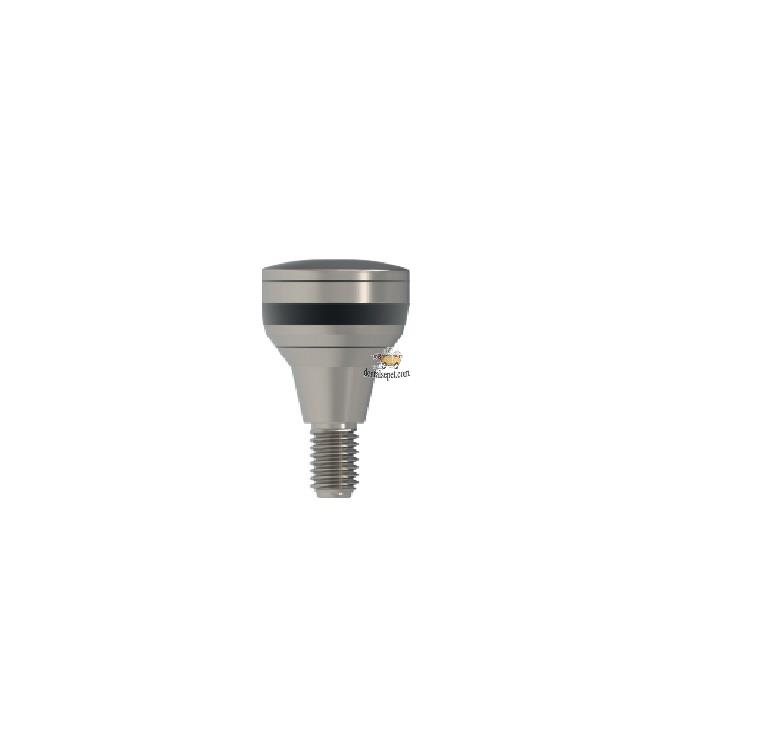 DOME - Healing Abutment