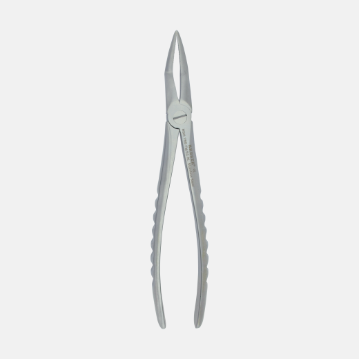 KRUGER Yetişkin Üst Kök Bayonet