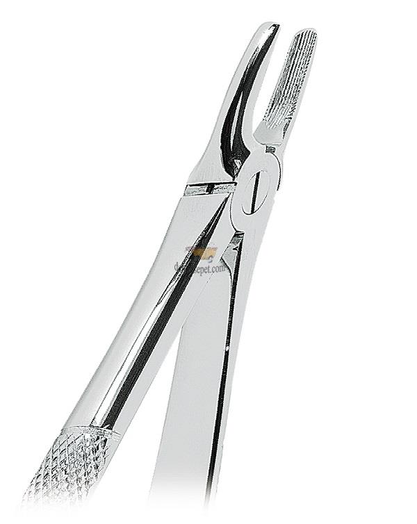 ASA DENTAL Yetişkin Üst Kesici Davye «