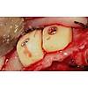 G�rsel 2