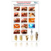 G�rsel 10