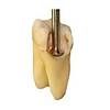 G�rsel 13
