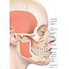 G�rsel 3