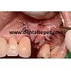 G�rsel 19