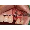 G�rsel 22