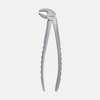 G�rsel 1