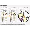 G�rsel 3