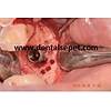 G�rsel 12
