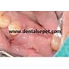 G�rsel 26