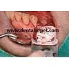 G�rsel 28