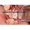 G�rsel 10