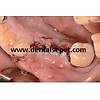 G�rsel 24