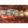 G�rsel 3
