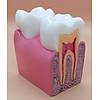 G�rsel 1