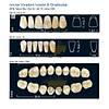 G�rsel 1