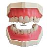 G�rsel 1